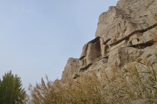 古老石壁与周边绿植景观