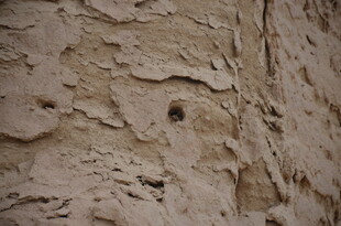 粗糙斑驳的墙面纹理