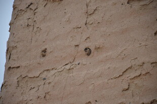 古老土墙的斑驳痕迹