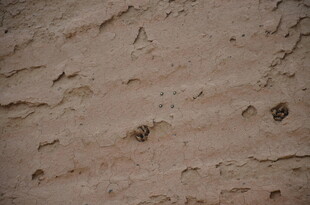 粗糙斑驳的墙面纹理