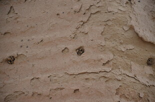 粗糙斑驳的墙面纹理