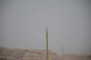 沙漠中的孤立长杆