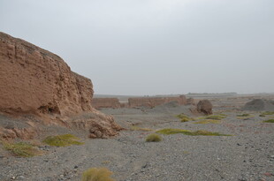 荒凉戈壁中的古老土墙遗迹