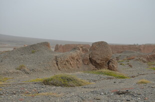 荒漠中的奇特土丘景观