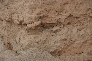 粗糙棕色岩石纹理特写