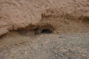 沙漠中的神秘洞穴