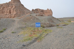 沙漠中的蓝色指示牌景观