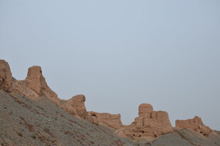 沙漠中的奇特土丘景观