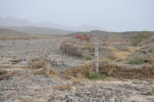 荒凉山地中的孤杆景象