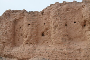 土壁上的孔洞景观