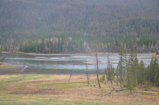 山间河流旁的稀疏树林
