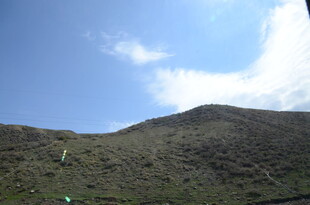 蓝天映衬下的翠绿山坡