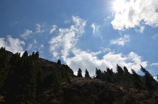 蓝天绿树间的明媚风光