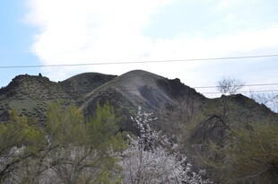 山景风光 植被点缀其间