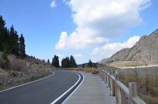 蜿蜒公路旁的山林美景