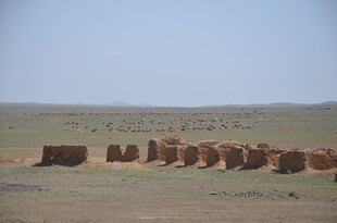 草原上的整齐草垛