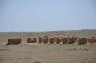 草原上的干草垛