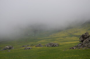 山间雾霭中的翠绿草地