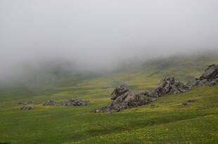 山间云雾缭绕的翠绿草地