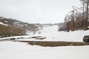 冬日雪覆山谷滑雪场景