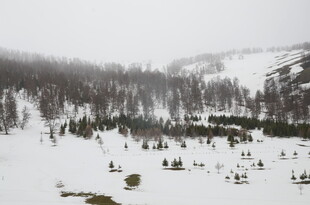 雪野中的人群与山林景观