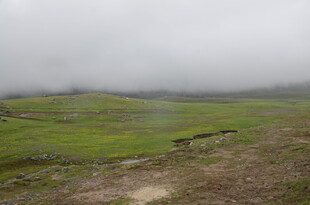 云雾笼罩下的绿色原野