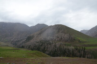 云雾缭绕的山间草原风光