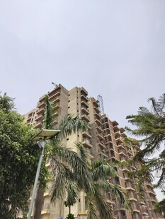 在建高楼与周边绿植景观