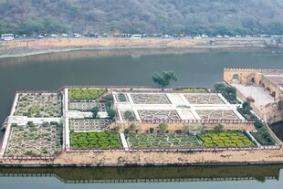 水上漂浮菜园景观