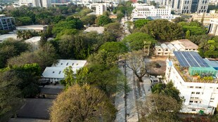 城市绿意景观鸟瞰