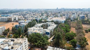 城市鸟瞰 建筑与绿树交织
