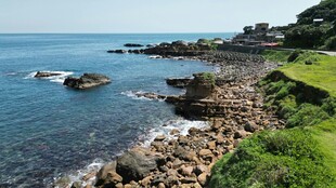 海岸边的礁石与葱郁植被