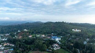 俯瞰葱郁山林美景