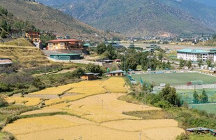 山间梯田村落田园风光