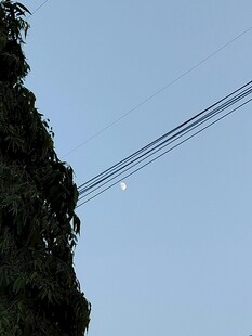 电线旁的树木与天空景象