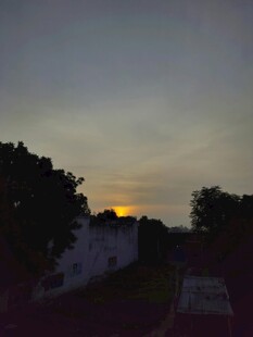 黄昏下的树木与天空景色