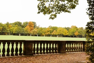 秋日公园中的石栏杆景致