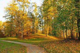 秋日林间小径美景