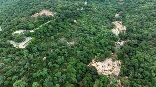 俯瞰茂密绿意山林景观