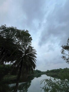 河畔绿树与多云天空景色