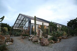 户外玻璃温室与绿植景观