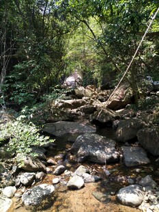 山间溪流 自然野趣风景