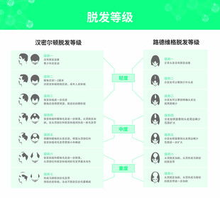 脱发分级海报