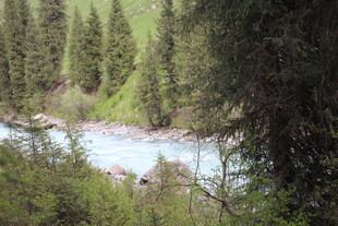 山林间的清澈河流