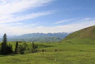 草原风光与远处山峦