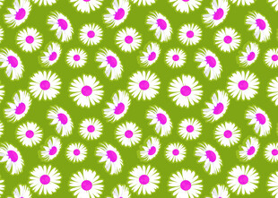 绿色底小雏菊图案背景