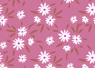 粉色背景小雏菊花卉图案