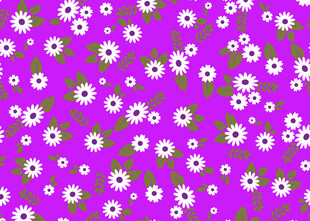 紫色底白色小花图案