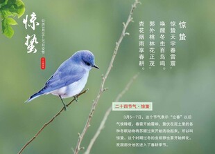 惊蛰节气