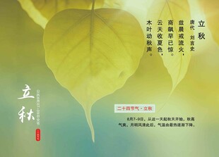立秋节气